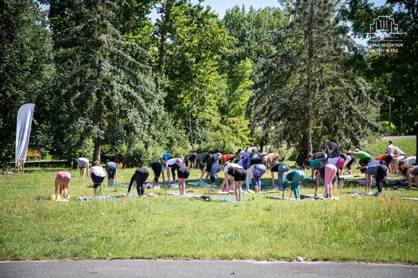 joga w parku